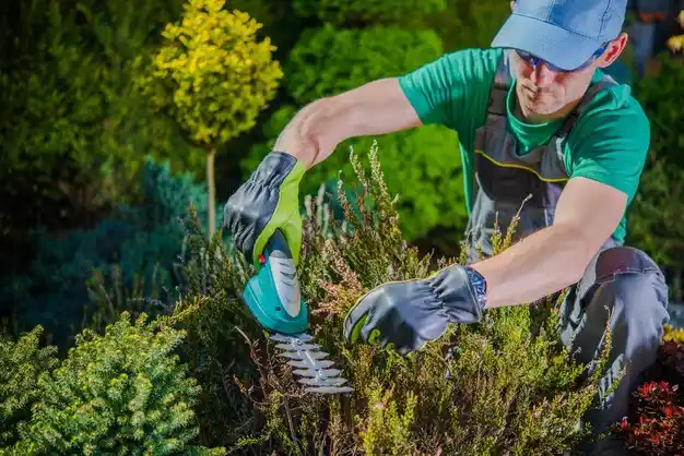 landscaping services Florissant